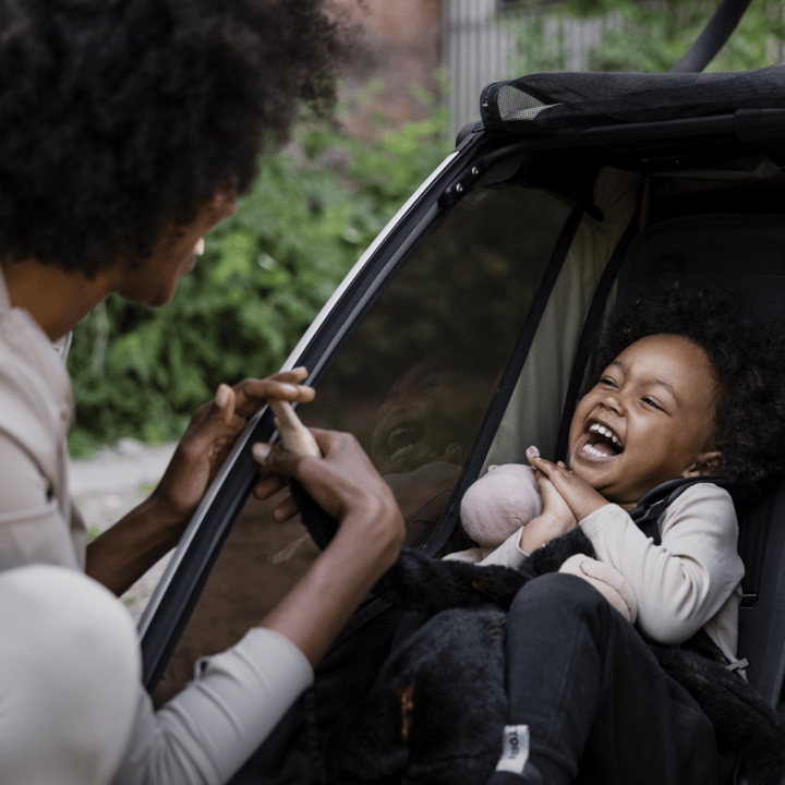 Chariot Cross Gen 3 Double - Slate Thule