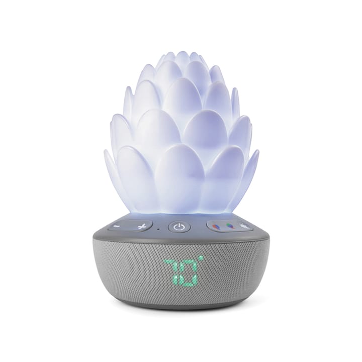 Succulent Nattlampa Med Gråtsensor Skip Hop